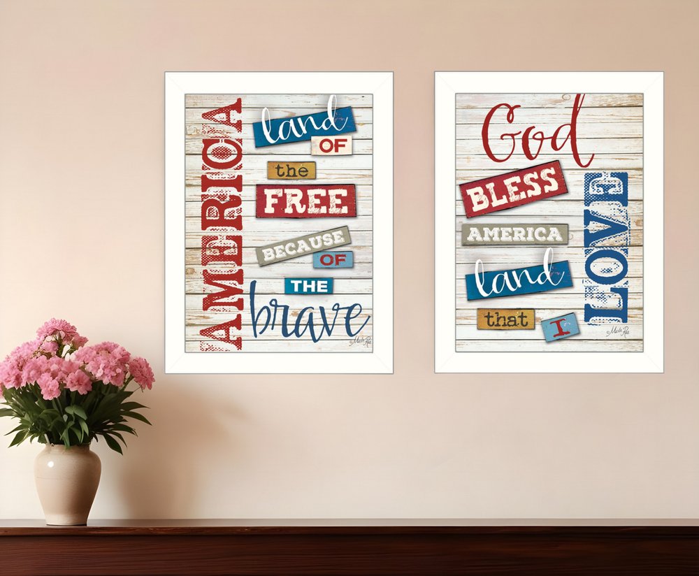 Set Of Two American 3 White Framed Print Wall Art HomeRoots