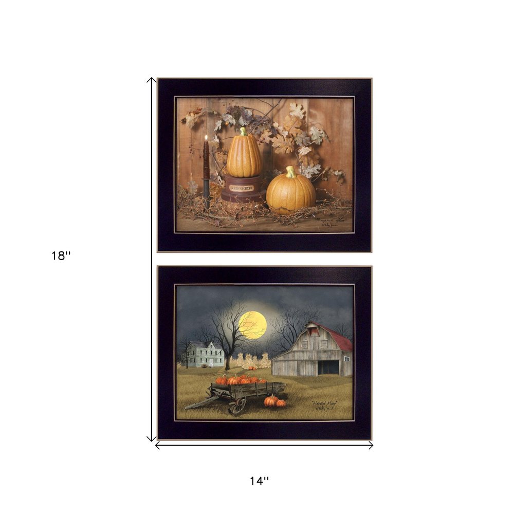 Set Of Two Pumpkin Space Harvest Black Framed Print Kitchen Wall Art HomeRoots