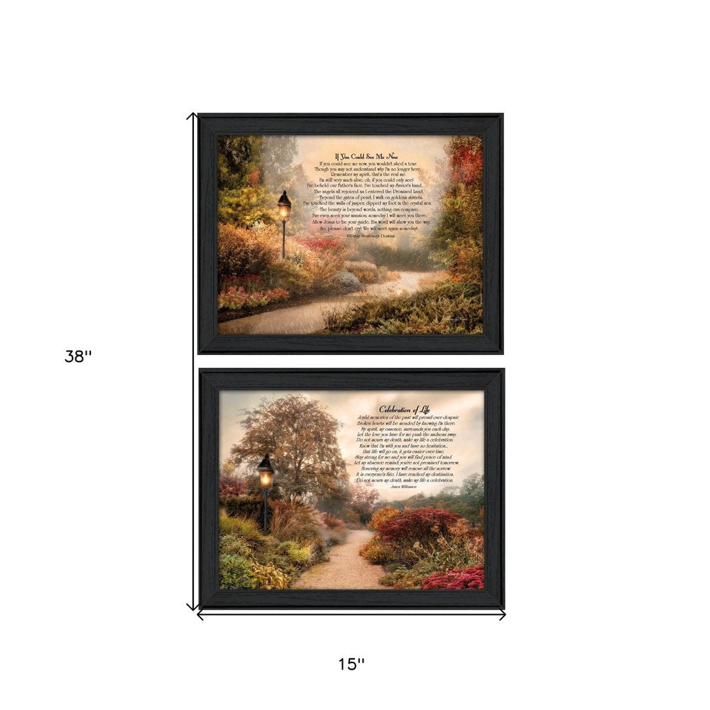 Set Of Two Celebration of Life Black Framed Wall Art — view 5