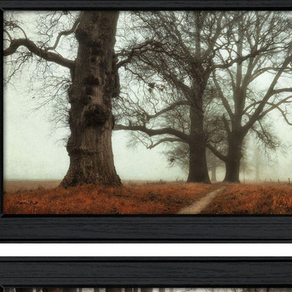 Set Of Two Misty Trees Black Framed Wall Art