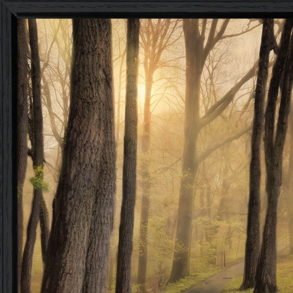 Set Of Two After The Rain Black Framed Wall Art — view 3