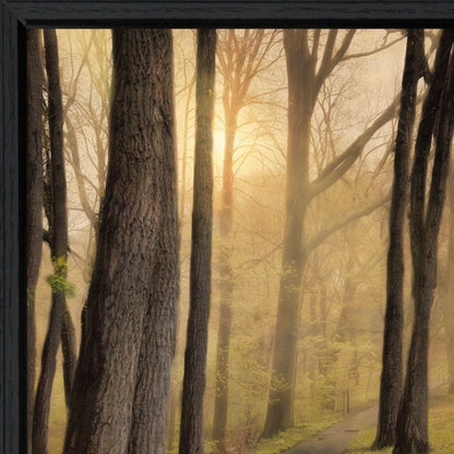 Set Of Two After The Rain Black Framed Wall Art