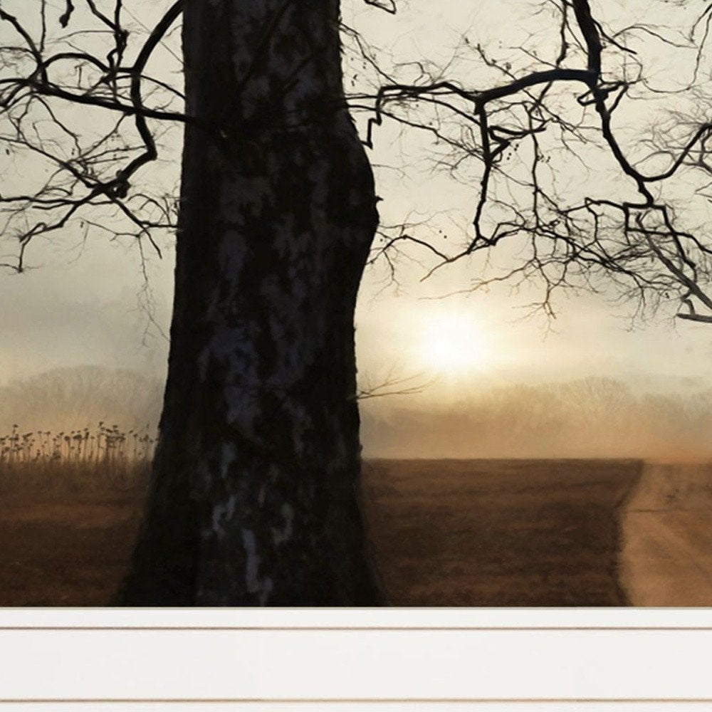 Set Of Two Enchanted Sunrise 1 White Framed Print Wall Art HomeRoots