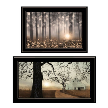Set Of Two Enchanted Sunrise 2 Black Framed Print Wall Art HomeRoots