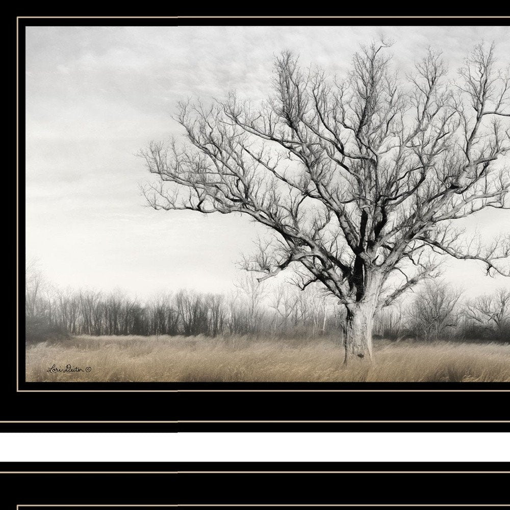 Set Of Two Ohio Fields I 2 Black Framed Print Wall Art HomeRoots