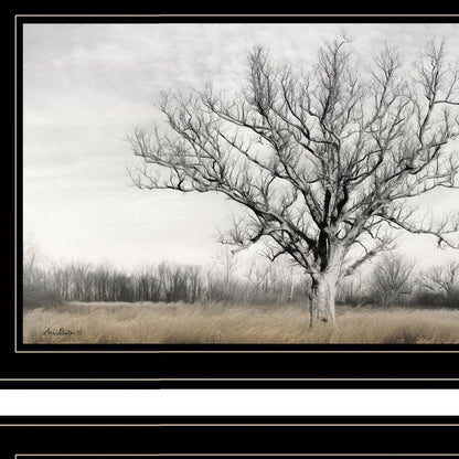 Set Of Two Ohio Fields I 2 Black Framed Print Wall Art HomeRoots