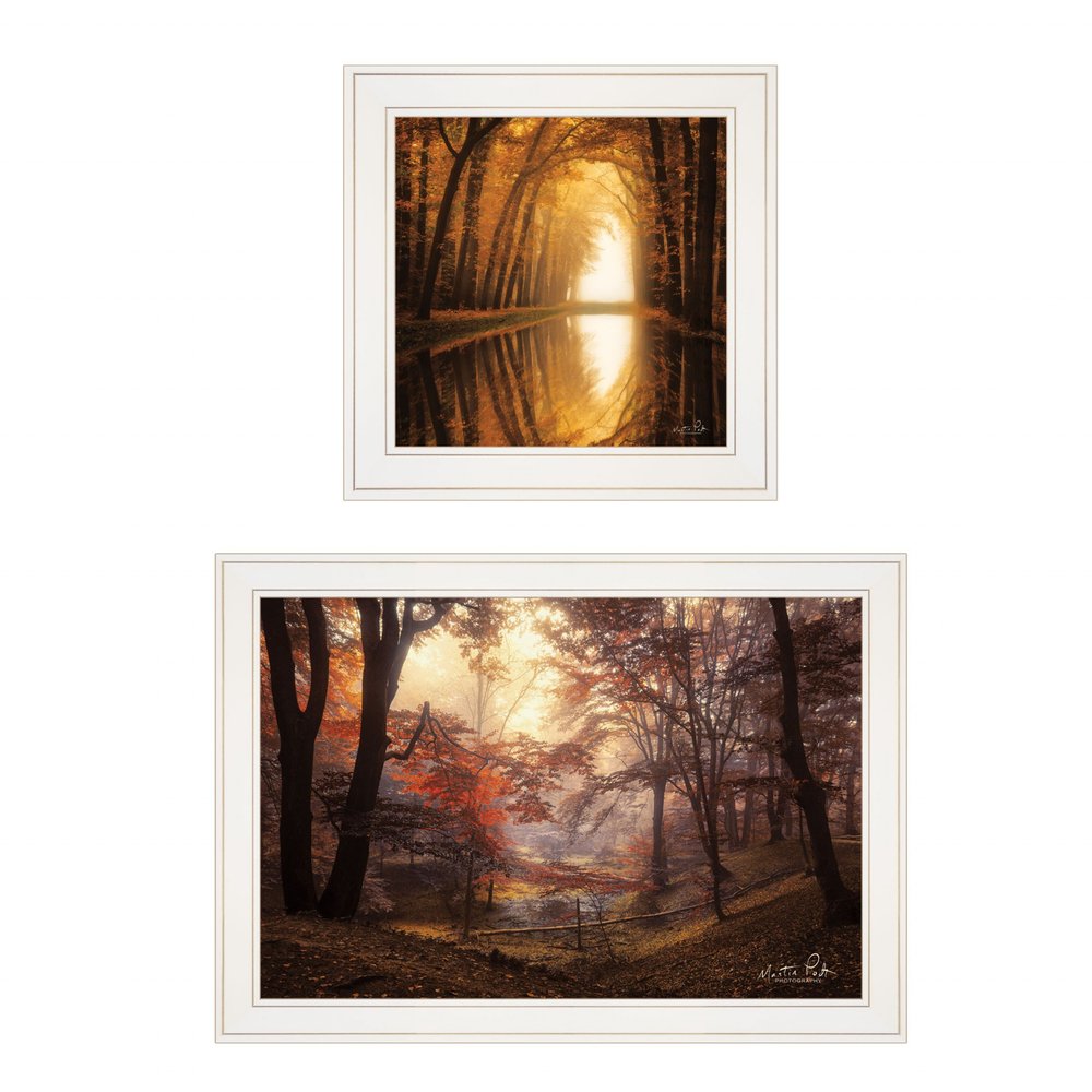 Set Of Two Natures Reflections 1 White Framed Print Wall Art — view 1
