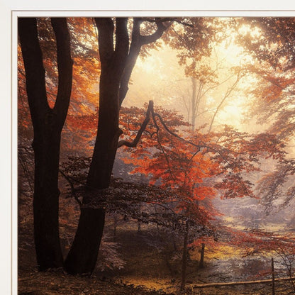 Set Of Two Natures Reflections 1 White Framed Print Wall Art HomeRoots