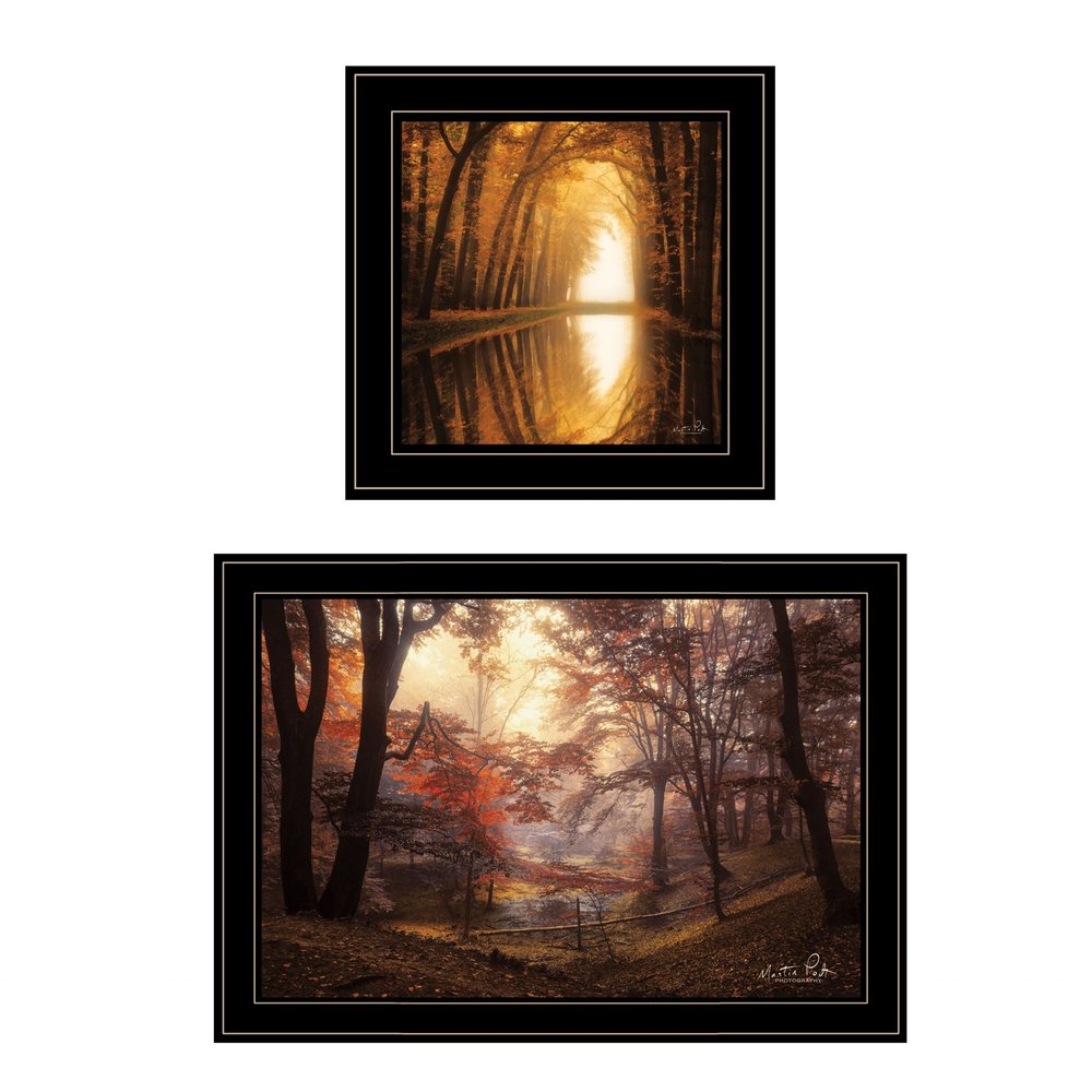 Set Of Two Natures Reflections 2 Black Framed Print Wall Art — view 1