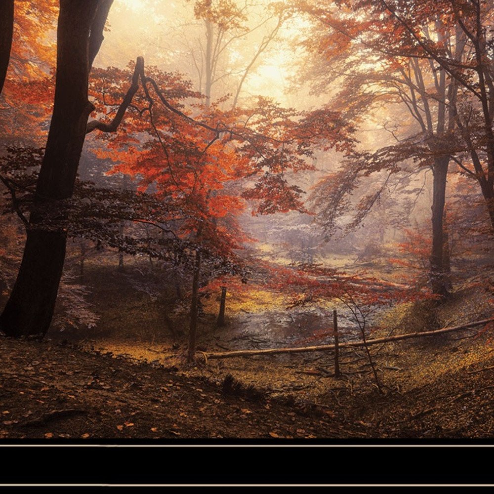 Set Of Two Natures Reflections 2 Black Framed Print Wall Art HomeRoots