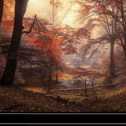 Set Of Two Natures Reflections 2 Black Framed Print Wall Art HomeRoots