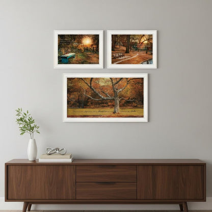 Set Of Three Tranquil Spaces 1 White Framed Print Wall Art HomeRoots