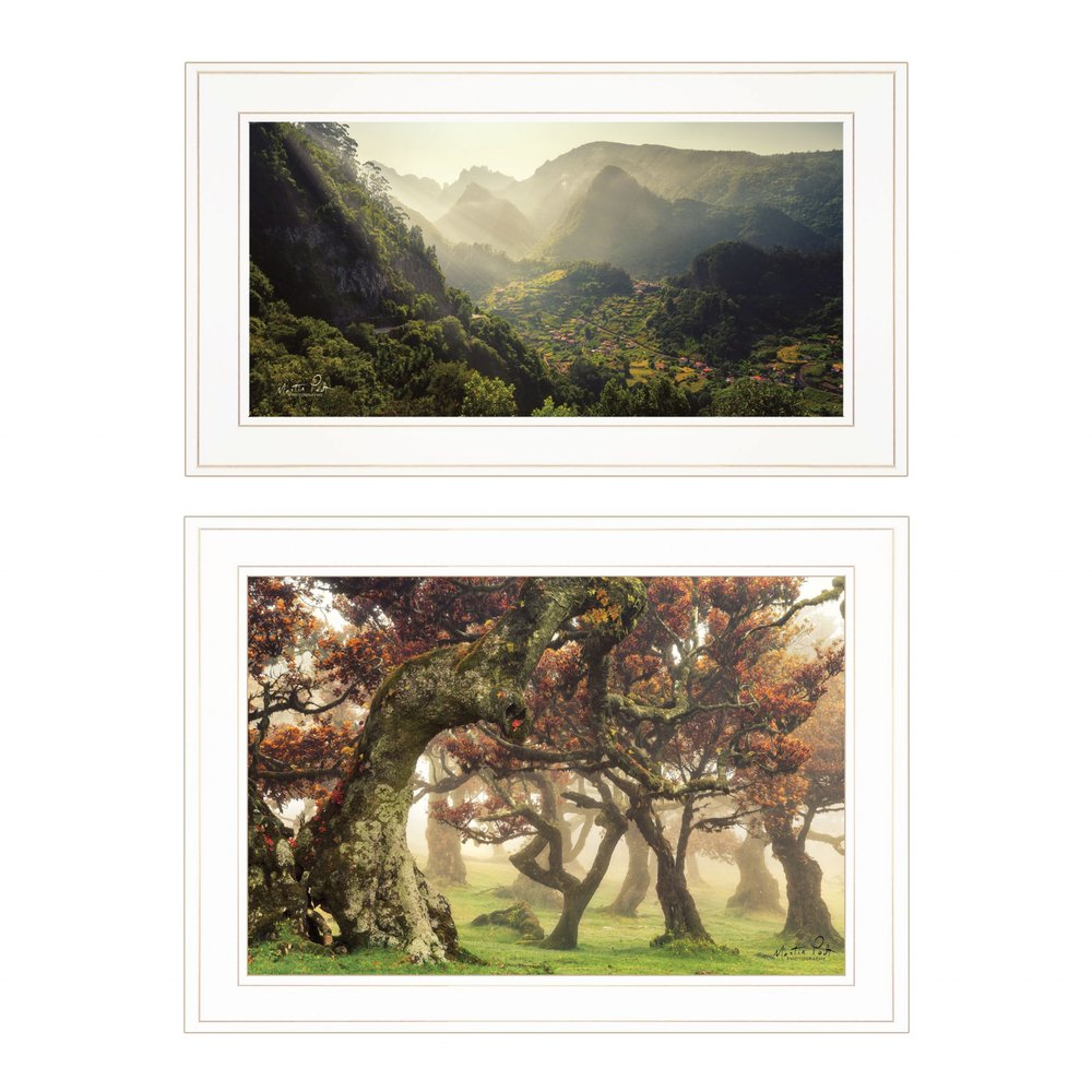 Set Of Two The Land of Hobbits 1 White Framed Print Wall Art HomeRoots