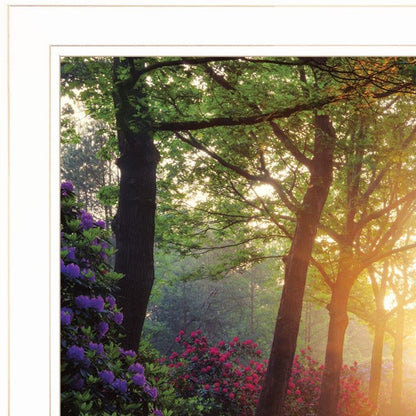 Set Of Two Path of Happiness 1 White Framed Print Wall Art HomeRoots