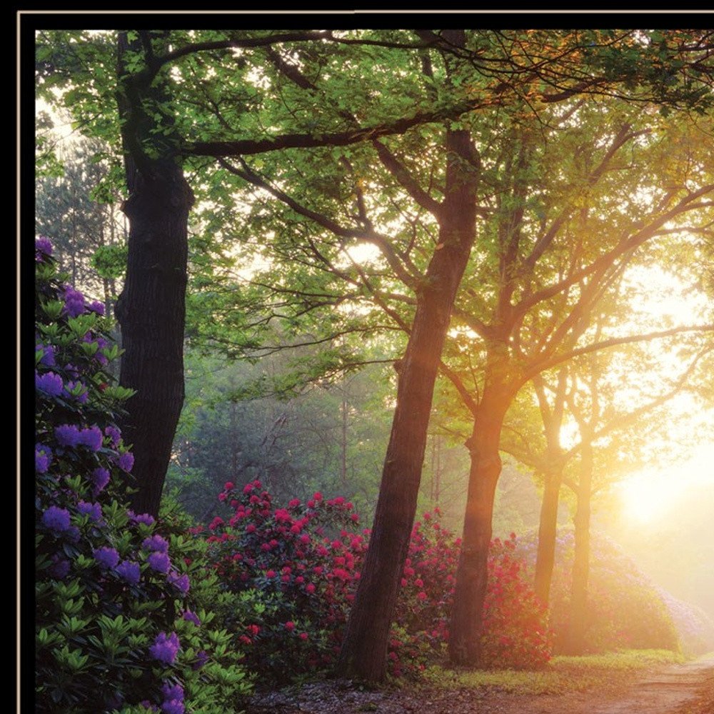Set Of Two Path of Happiness 2 Black Framed Print Wall Art HomeRoots