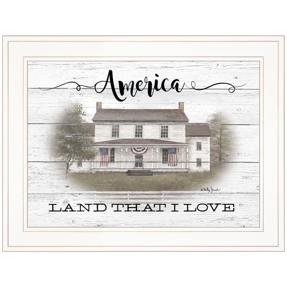 America 1 White Framed Print Wall Art HomeRoots