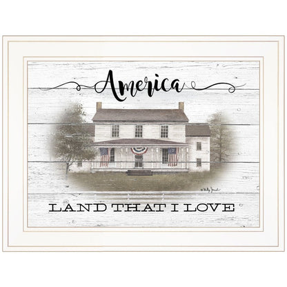 America 1 White Framed Print Wall Art HomeRoots