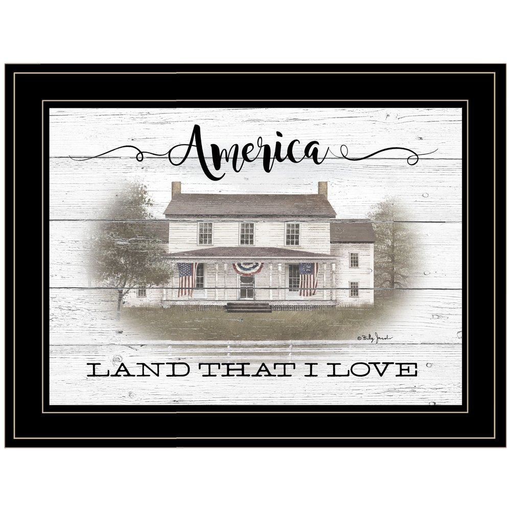America 2 Black Framed Print Wall Art HomeRoots