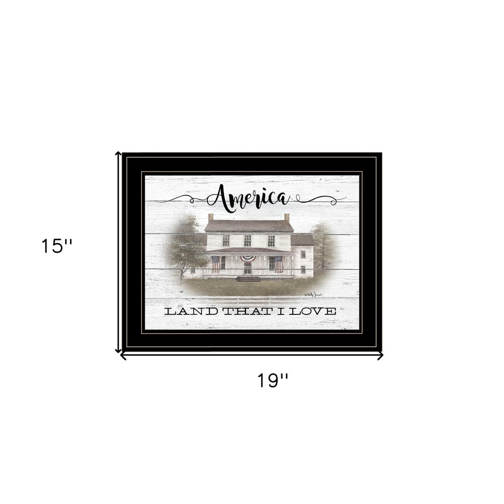 America 2 Black Framed Print Wall Art HomeRoots