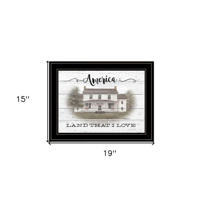 America 2 Black Framed Print Wall Art HomeRoots