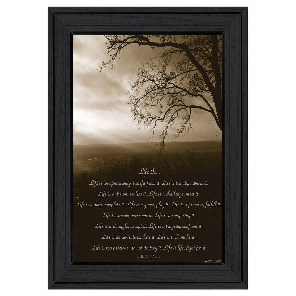 Life is 3 Black Framed Print Wall Art HomeRoots