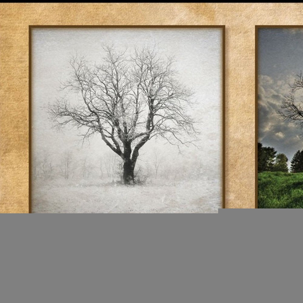 There is a Season Big Trees Black Framed Print Wall Art HomeRoots