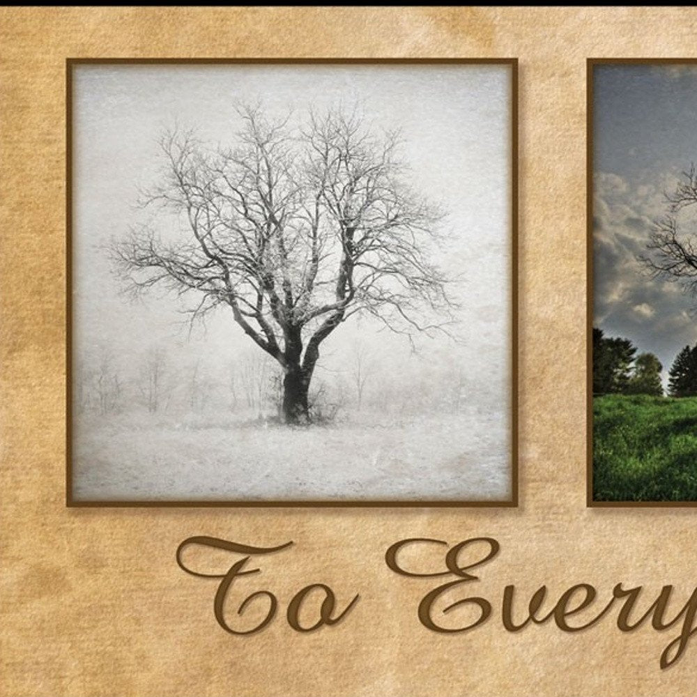 There is a Season Big Trees Black Framed Print Wall Art HomeRoots