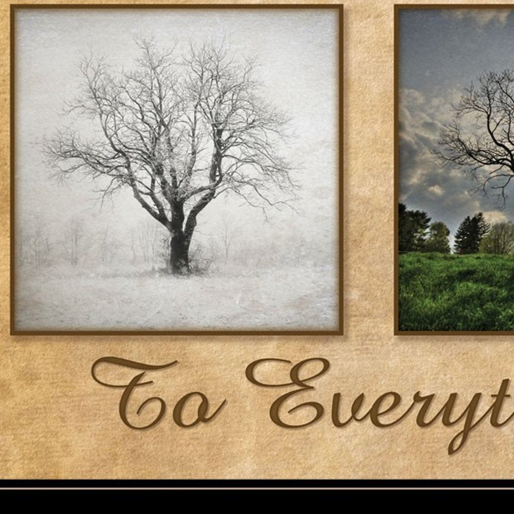 There is a Season Big Trees Black Framed Print Wall Art HomeRoots