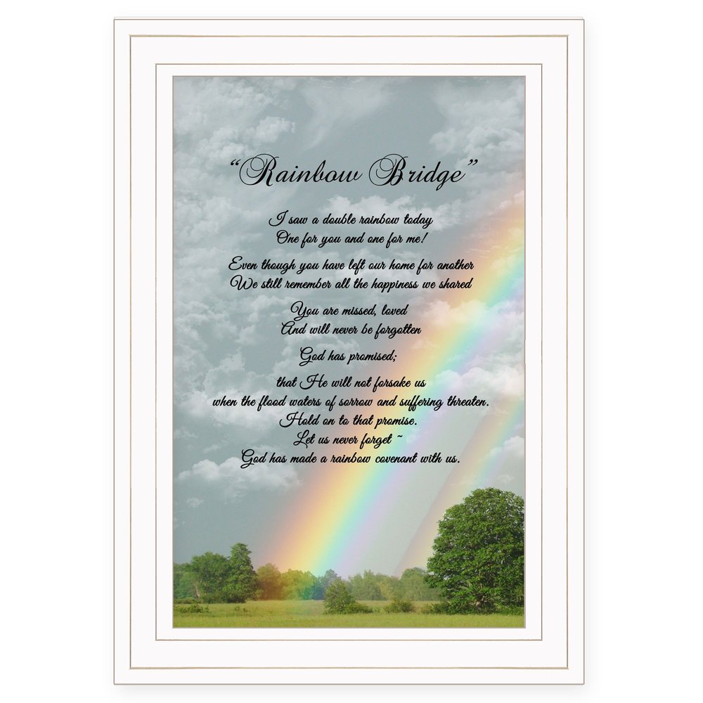 Rainbow Bridge 1 White Framed Print Wall Art HomeRoots
