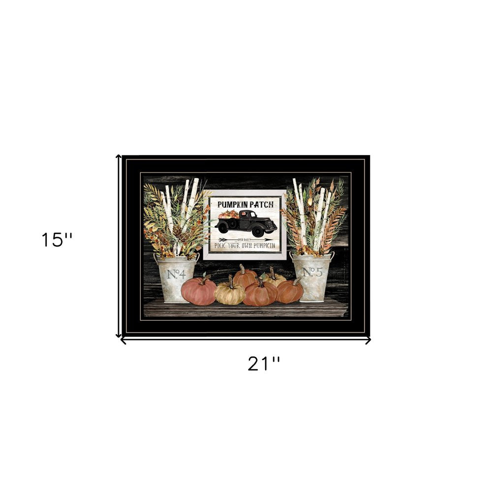 Pumpkin Patch Still Life 3 Black Framed Print Wall Art HomeRoots