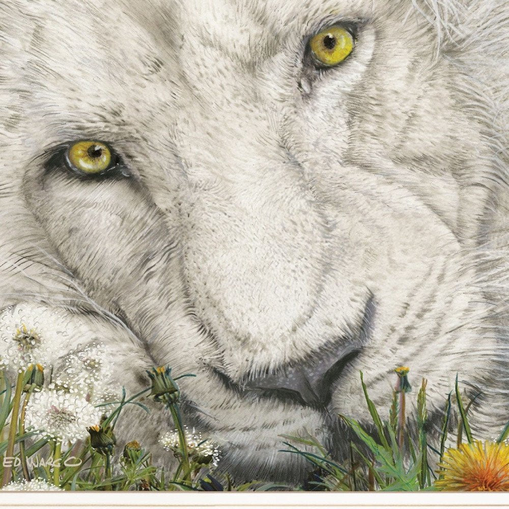 Dandy Lion 2 White Framed Print Wall Art HomeRoots