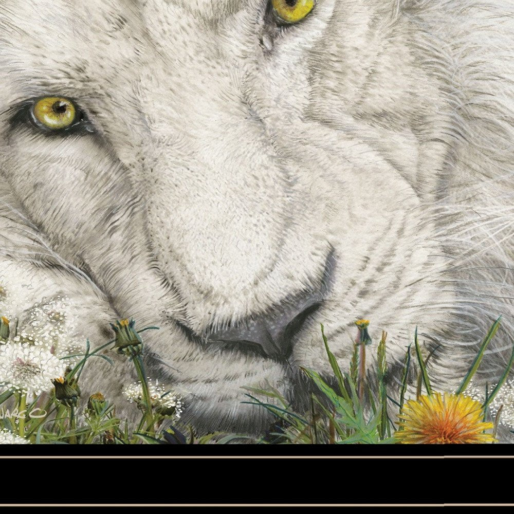 Dandy Lion 3 Black Framed Print Wall Art HomeRoots