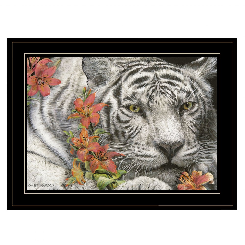 Tiger Lily 3 Black Framed Print Wall Art HomeRoots