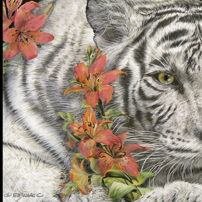 Tiger Lily 3 Black Framed Print Wall Art HomeRoots