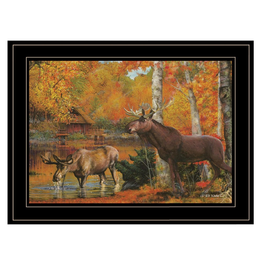 Peaceful Retreat 3 Black Framed Print Wall Art HomeRoots