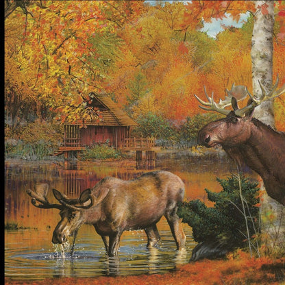 Peaceful Retreat 3 Black Framed Print Wall Art HomeRoots