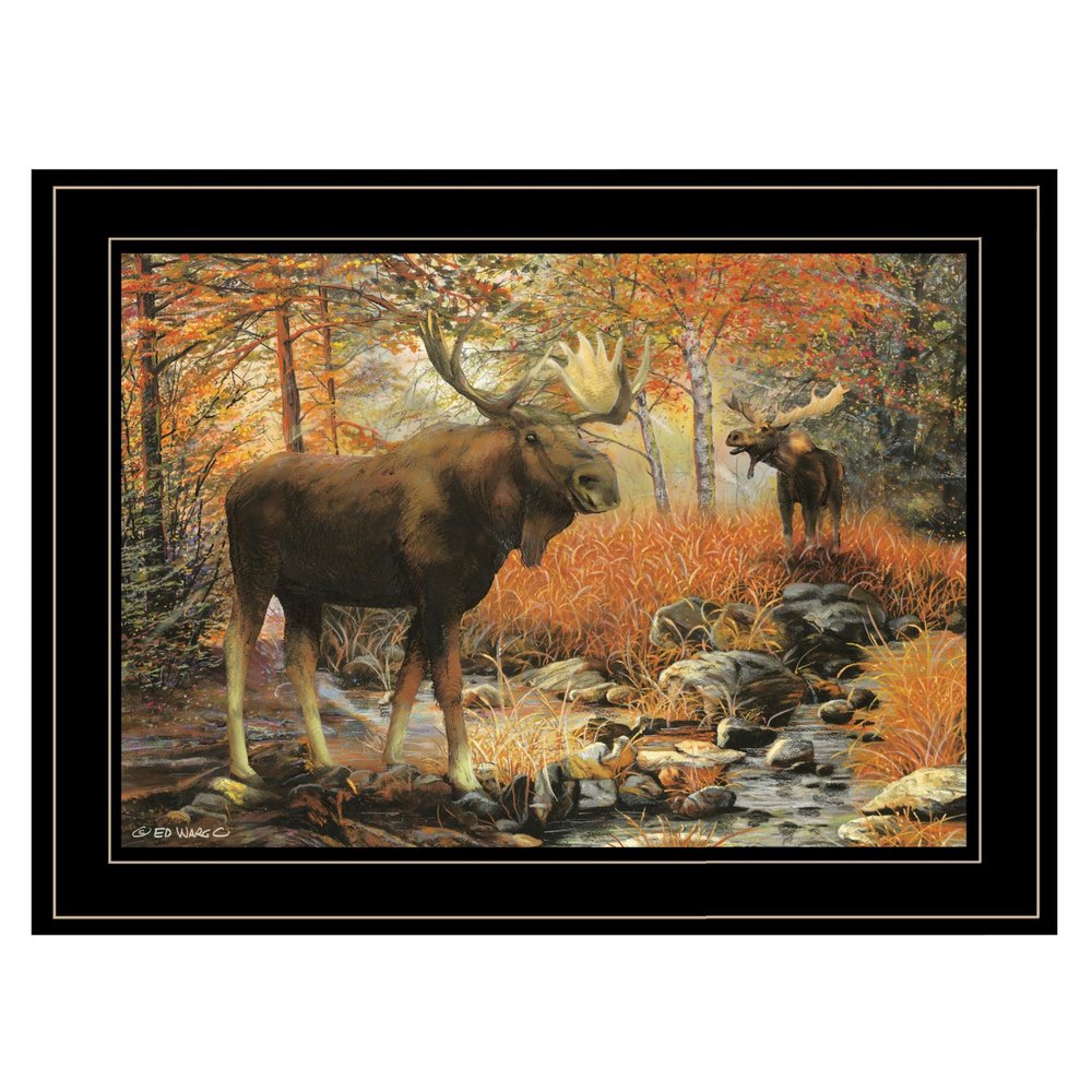 Call of the Wild 3 Black Framed Print Wall Art HomeRoots