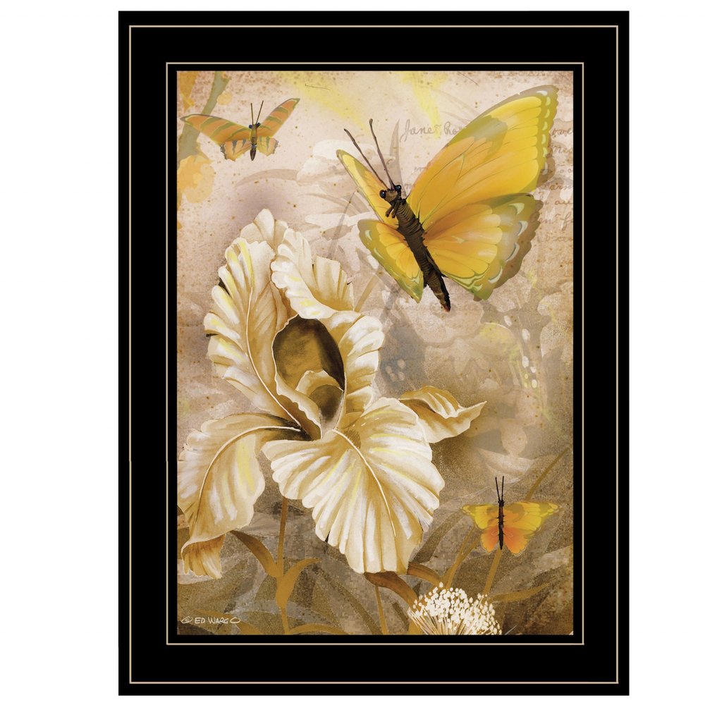 Flowers and Butterflies I 3 Black Framed Print Wall Art HomeRoots