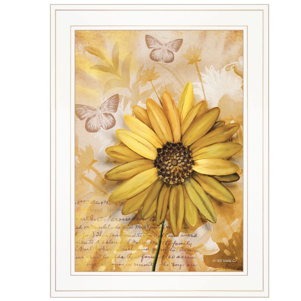 Flowers and Butterflies II 2 White Framed Print Wall Art HomeRoots