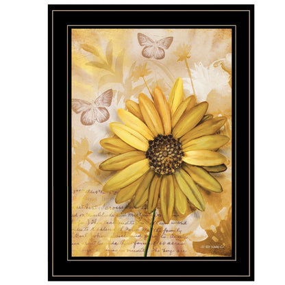 Flowers and Butterflies II 3 Black Framed Print Wall Art HomeRoots