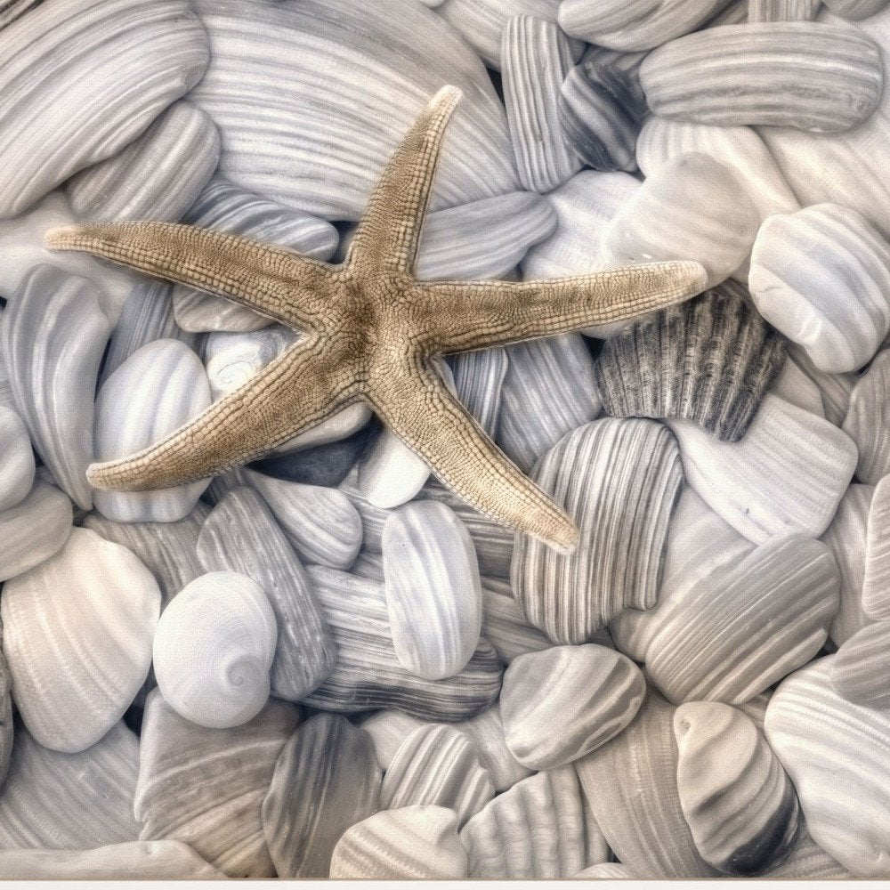 Starfish and Seashells 3 White Framed Print Wall Art — view 4