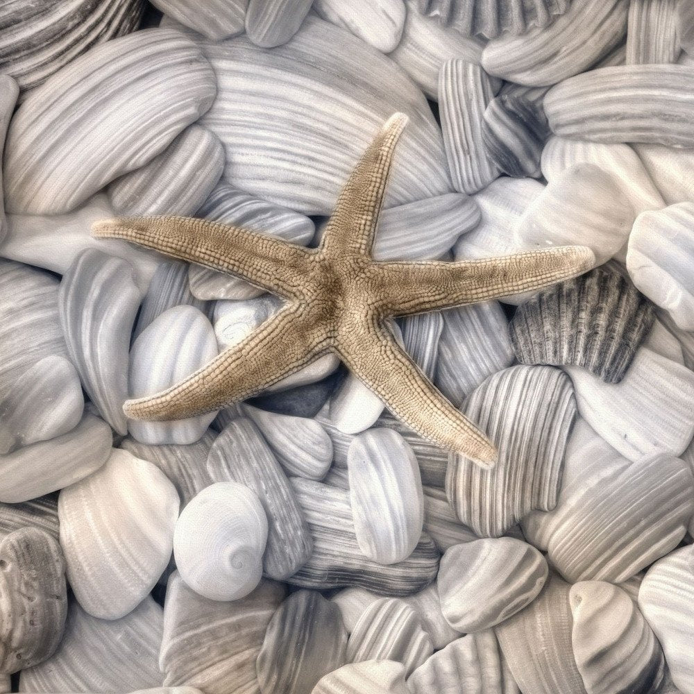 Starfish and Seashells 4 Black Framed Print Wall Art — view 4