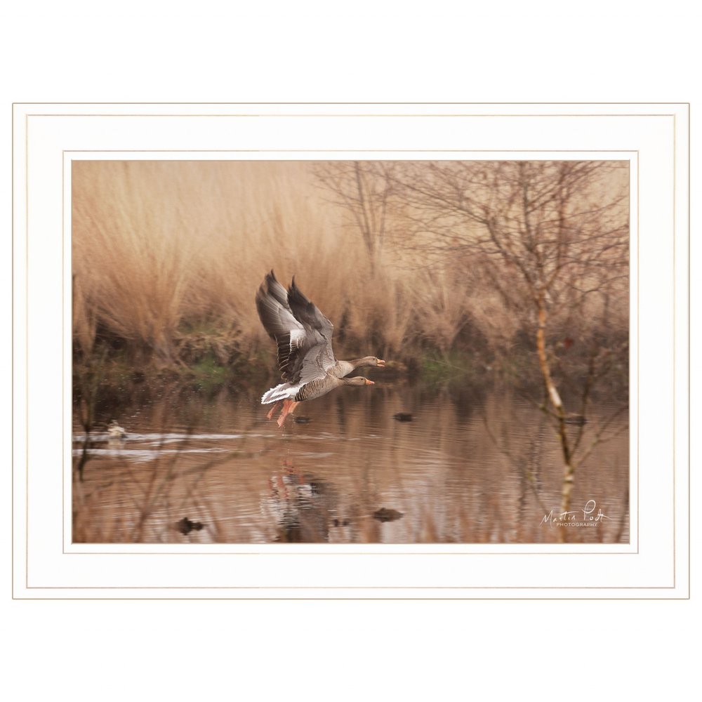 Fly Away 4 White Framed Print Wall Art — view 1