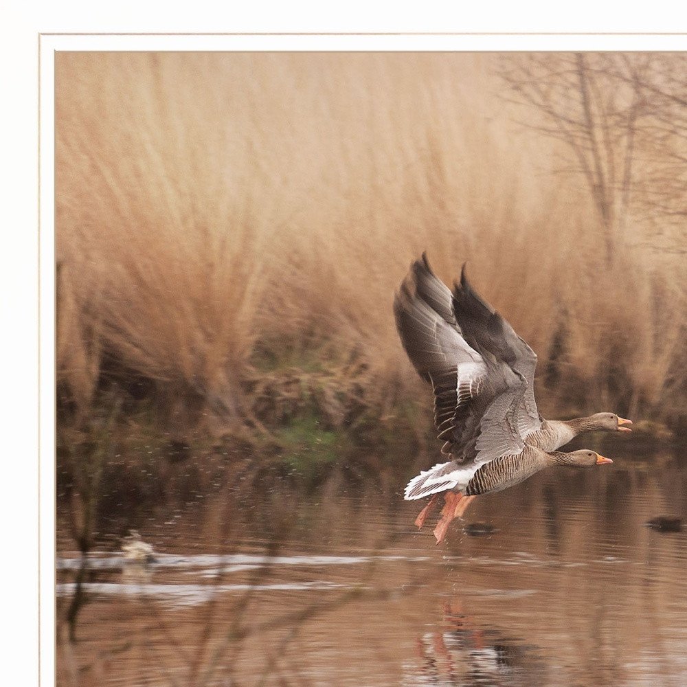 Fly Away 4 White Framed Print Wall Art — view 3