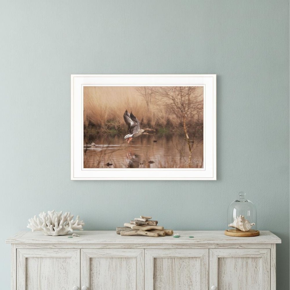 Fly Away 4 White Framed Print Wall Art — view 5