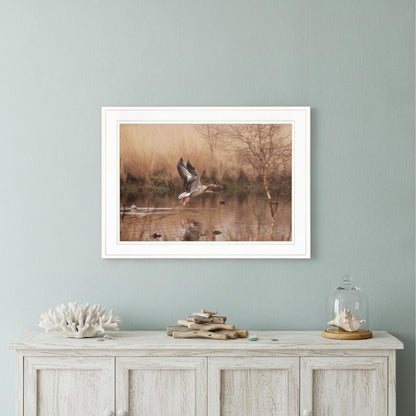 Fly Away 4 White Framed Print Wall Art