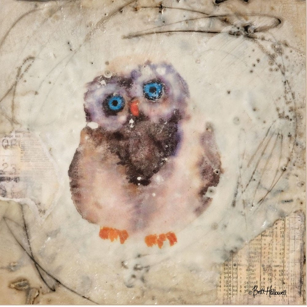 Set Of Two Wonder Years Owls 1 White Framed Print Wall Art — view 3