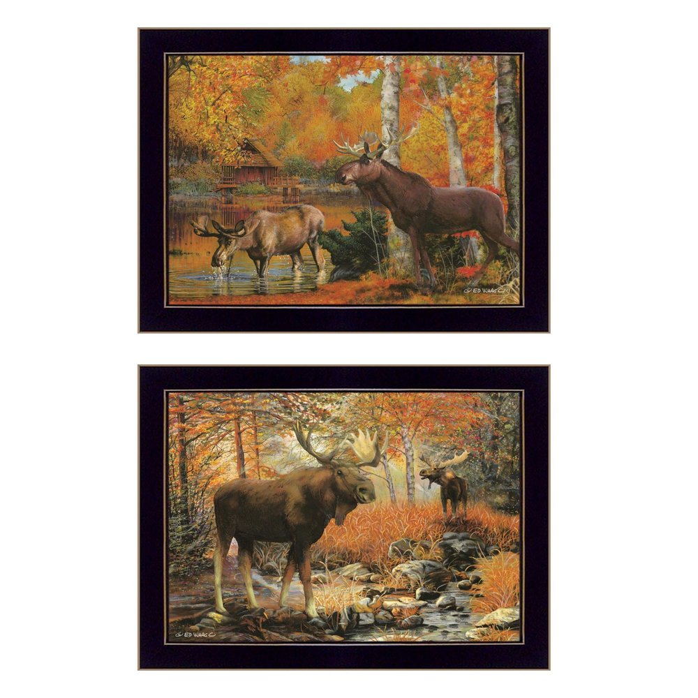 Set Of Two Call of the Wild 2 Black Framed Print Wall Art — view 1
