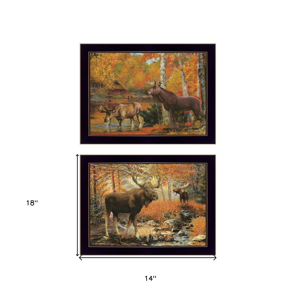 Set Of Two Call of the Wild 2 Black Framed Print Wall Art — view 3
