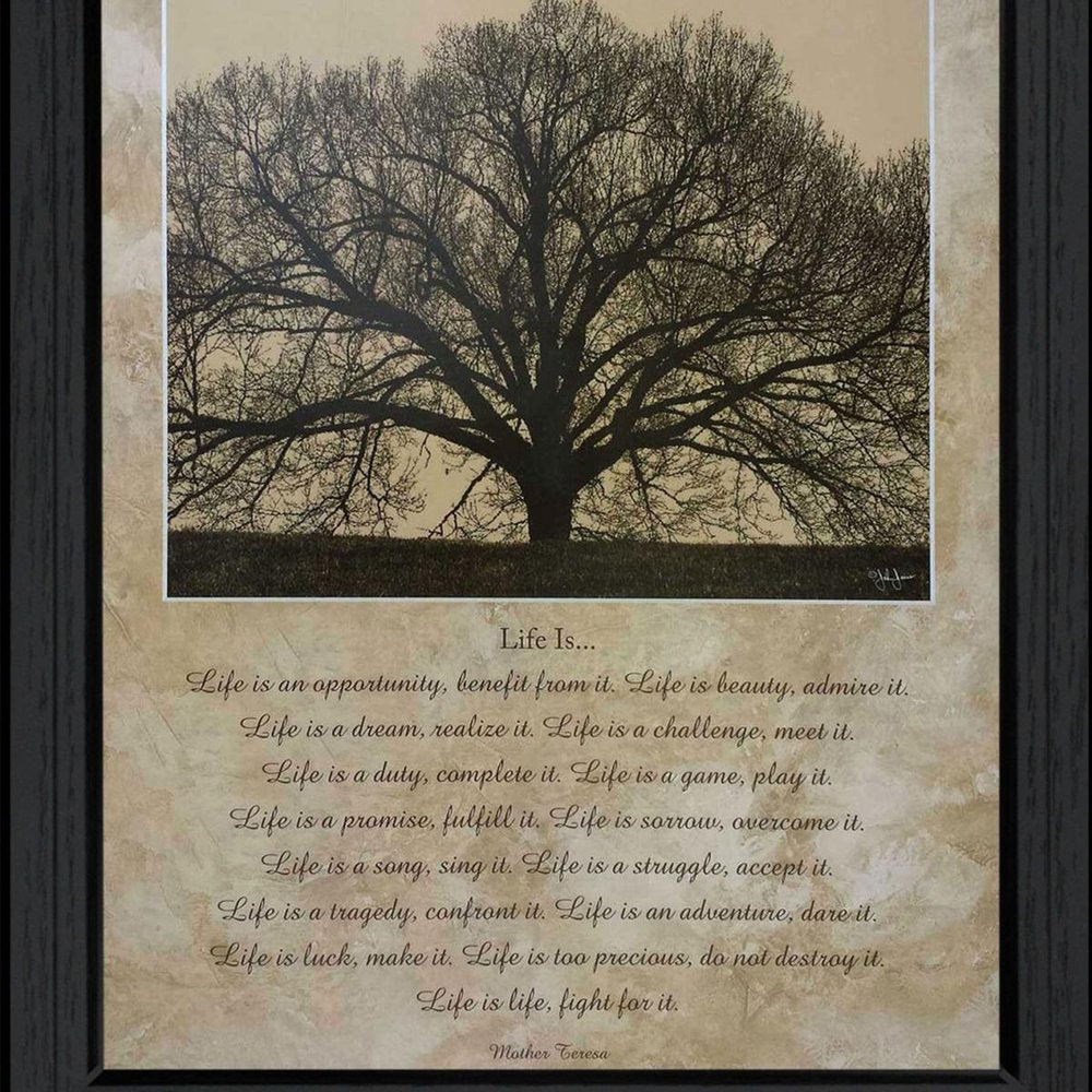 Life Is 11 Black Framed Wall Art HomeRoots